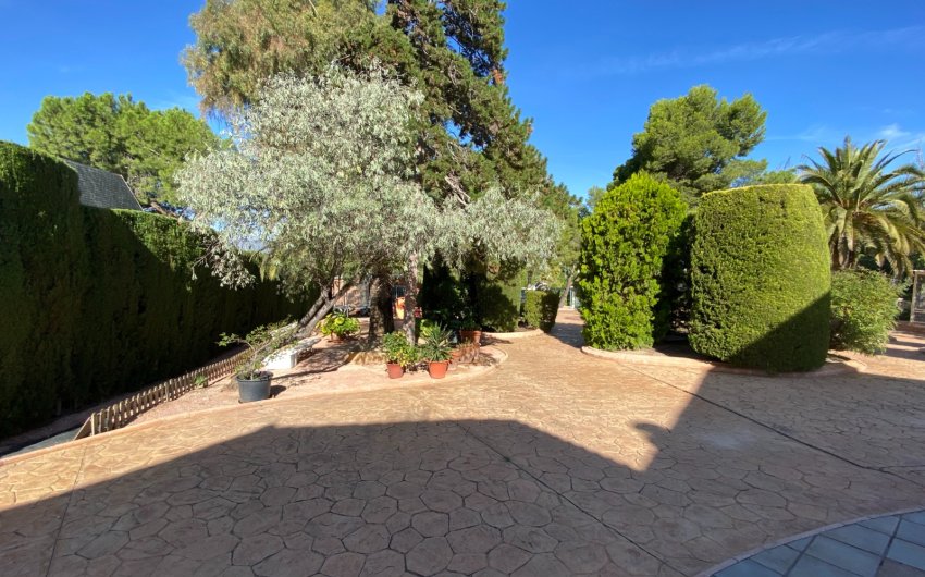 Reventa - Villa -
Petrer