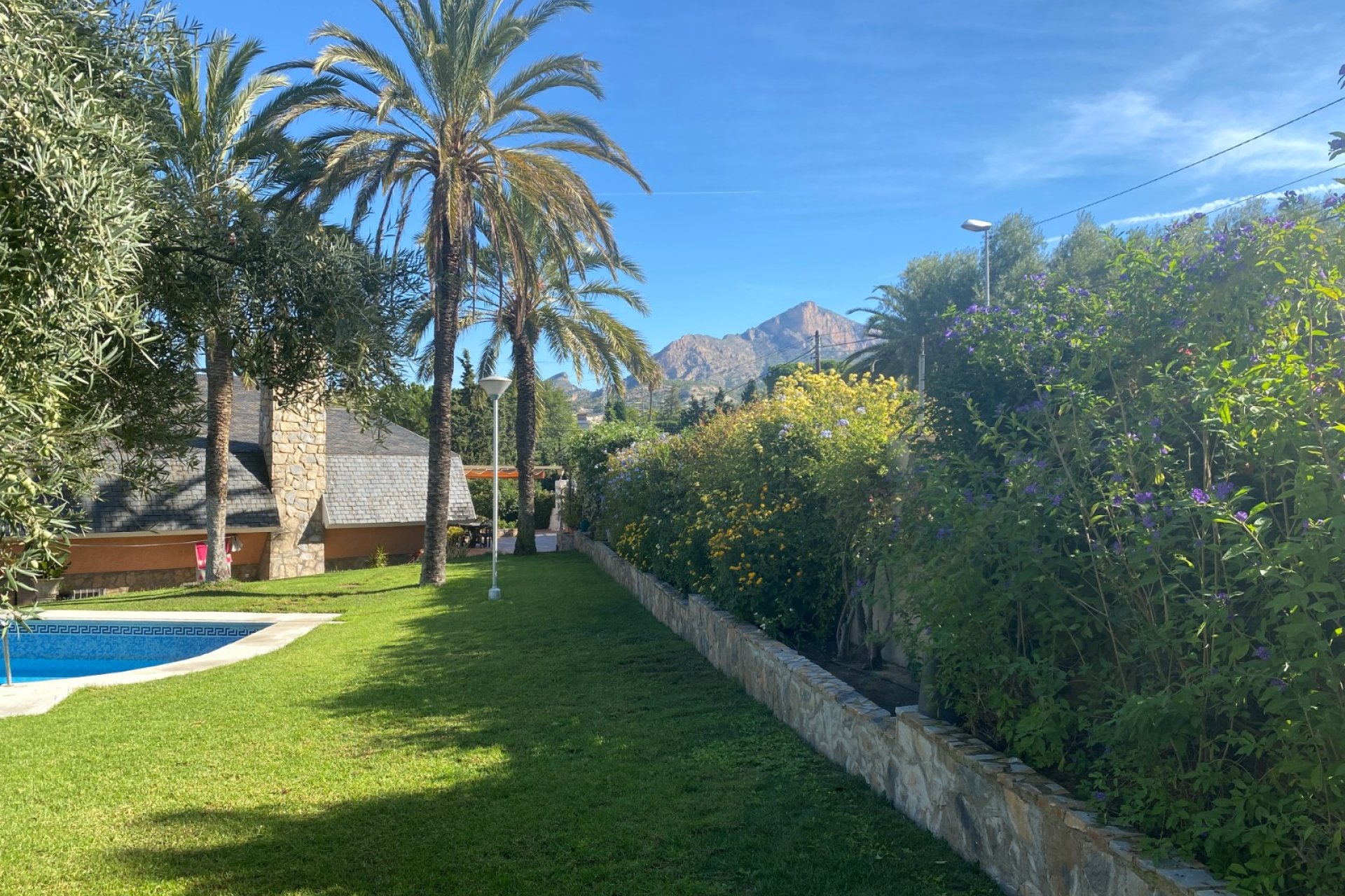 Reventa - Villa -
Petrer