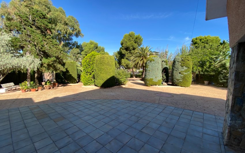 Reventa - Villa -
Petrer