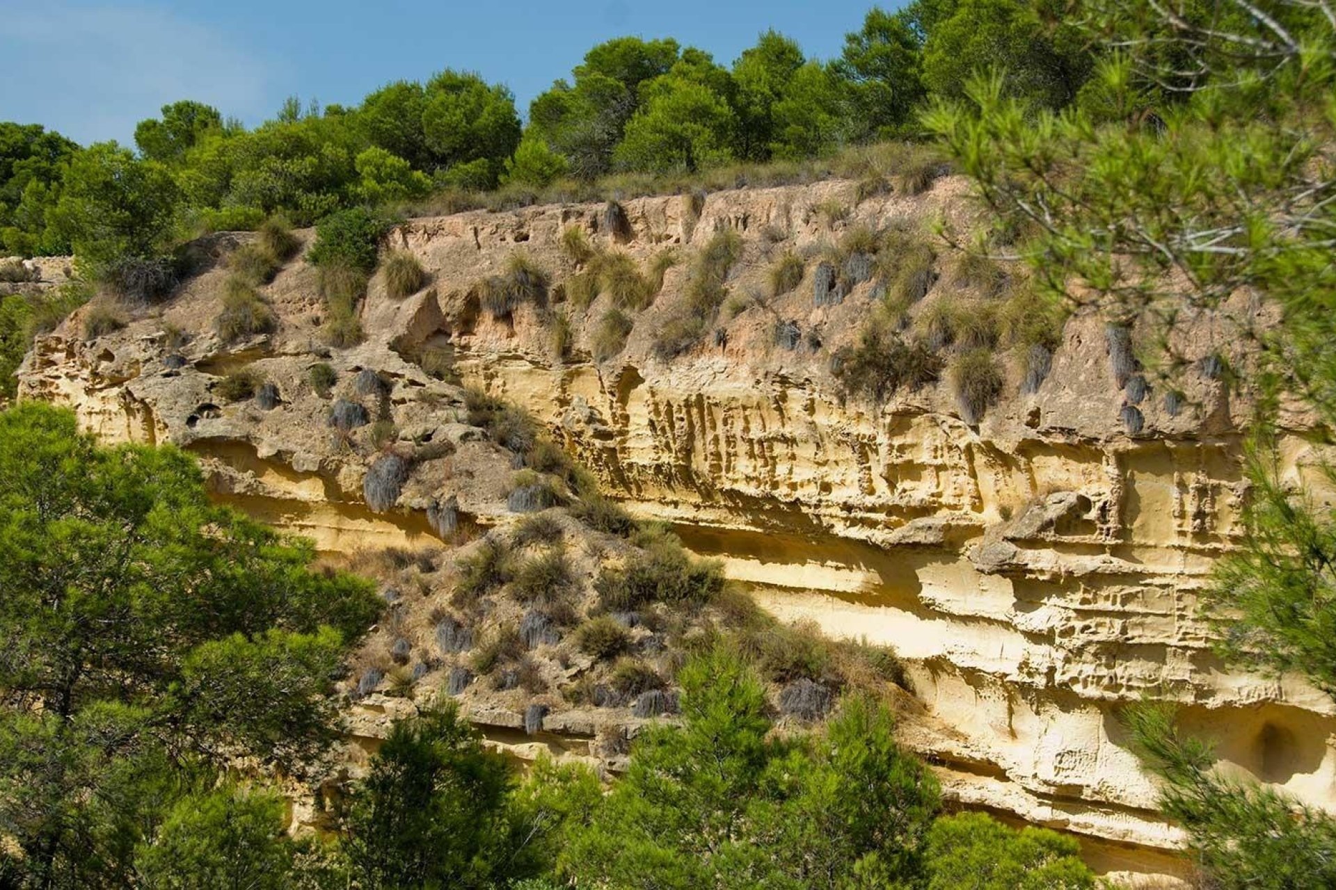Reventa - Villa -
Pilar de la Horadada - Pinar de Campoverde