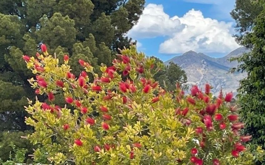 Reventa - Villa -
Polop - Alberca