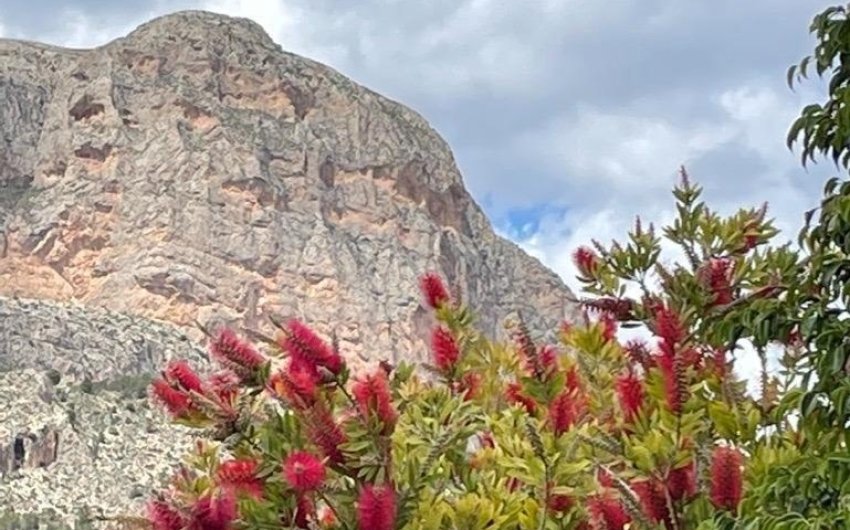 Reventa - Villa -
Polop - Alberca