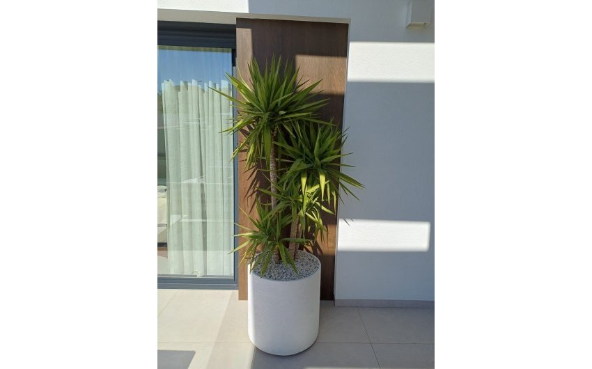 Reventa - Villa -
Rojales - Inland