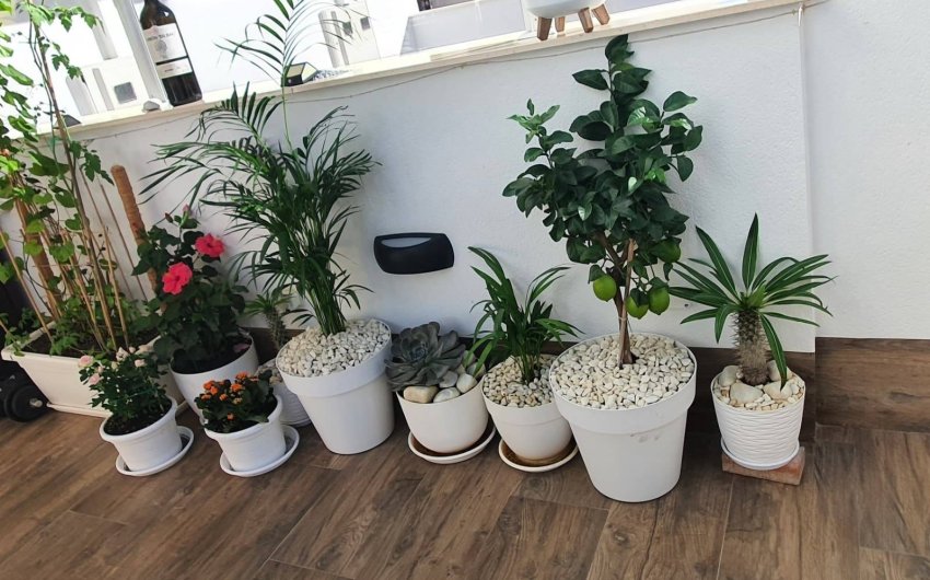 Reventa - Villa -
San Pedro del Pinatar - Centro