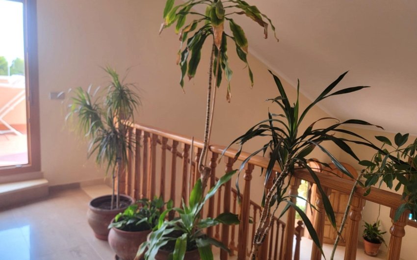 Reventa - Villa -
Torrevieja - Aguas Nuevas