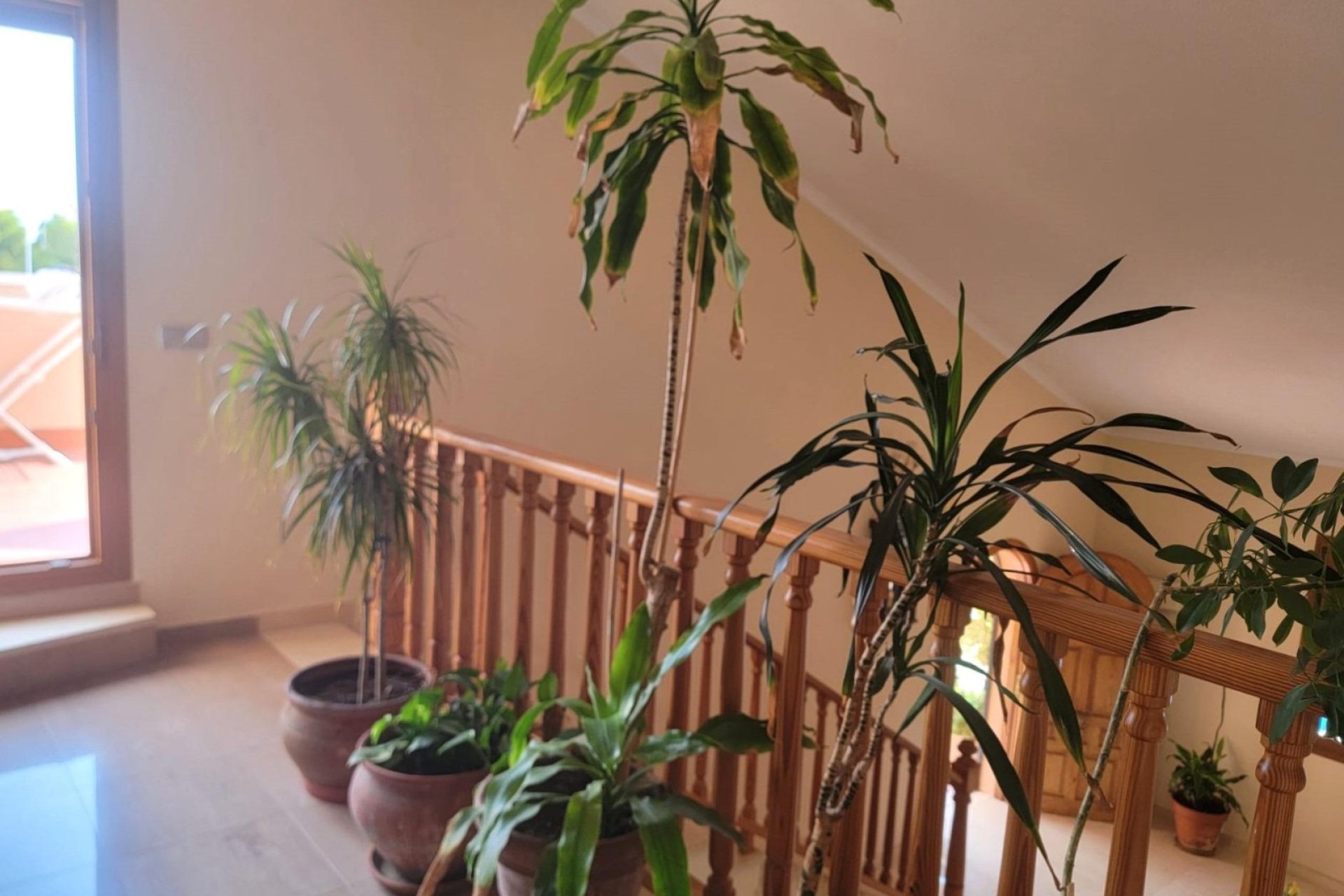 Reventa - Villa -
Torrevieja - Aguas Nuevas