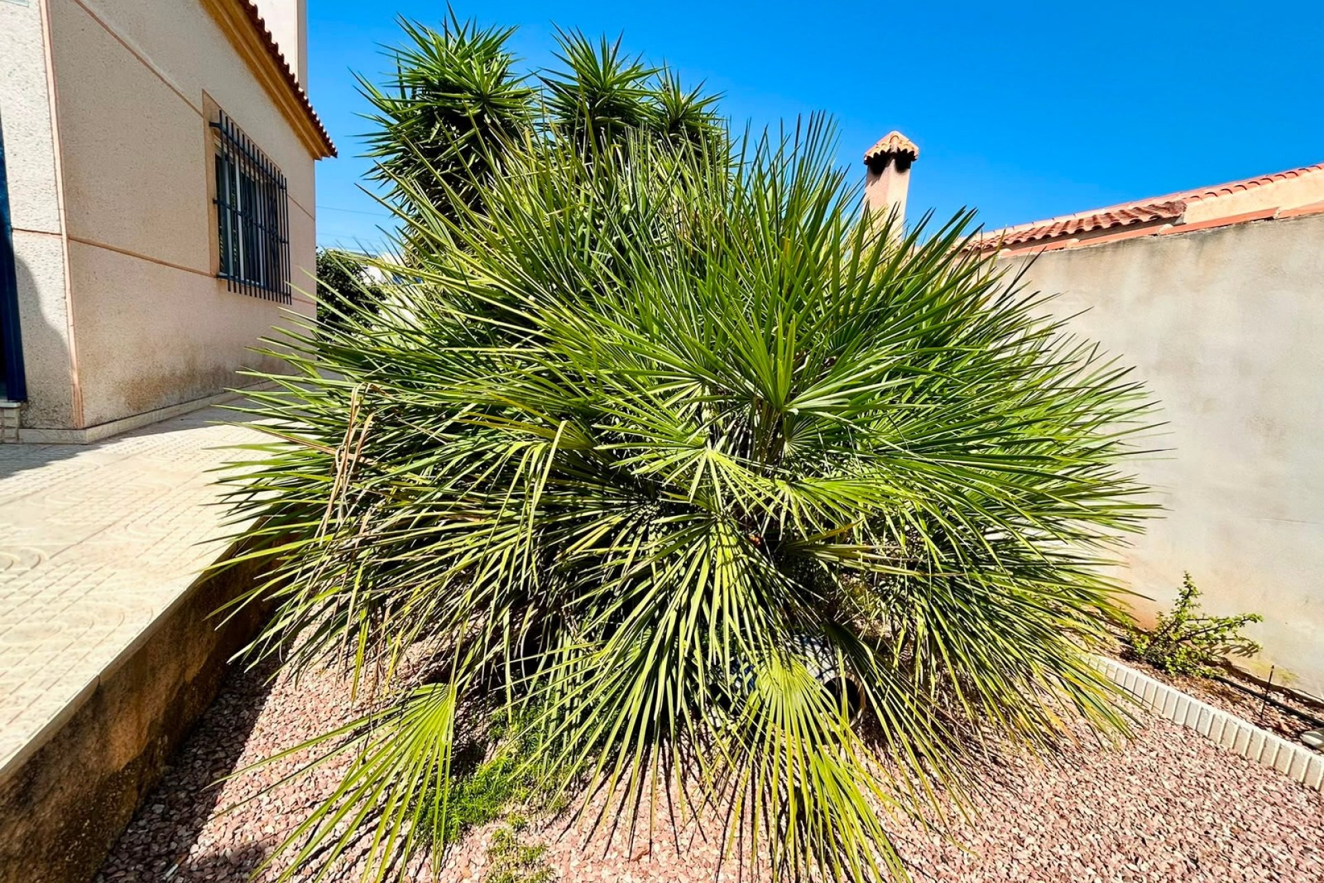 Reventa - Villa -
Torrevieja - Costa Blanca