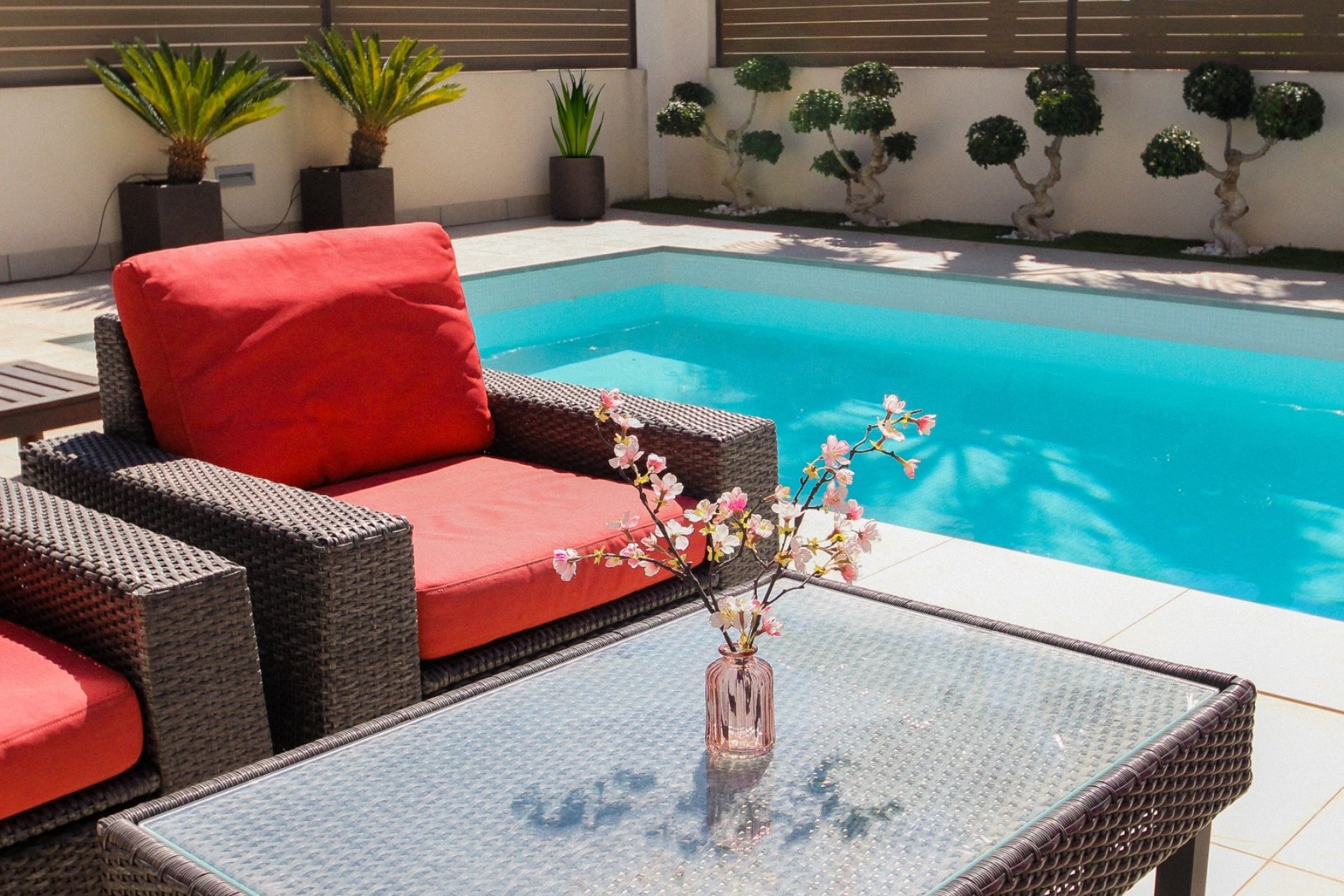 Reventa - Villa -
Torrevieja - Costa Blanca