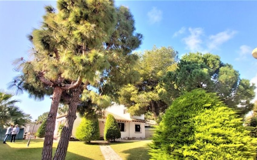 Reventa - Villa -
Torrevieja - Costa Blanca