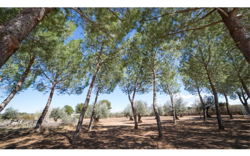 Reventa - Villa -
Yecla - Inland