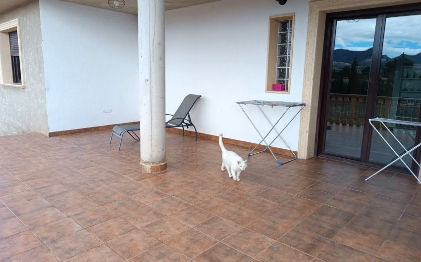 Reventa - Villa -
Yecla - Inland