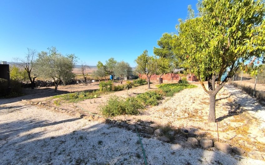 Reventa - Villa -
Yecla - Inland