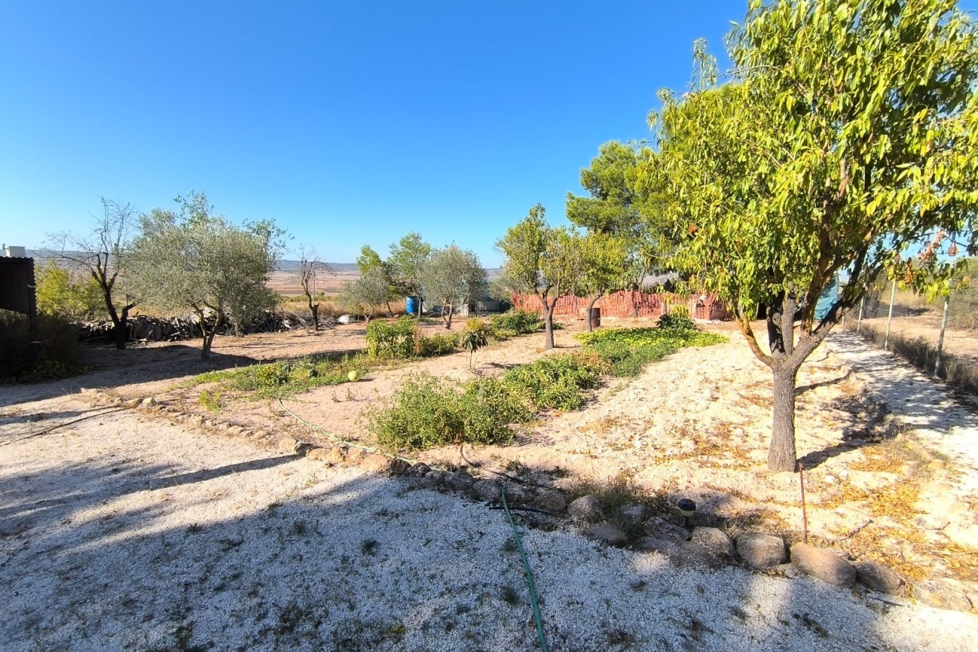 Reventa - Villa -
Yecla - Inland