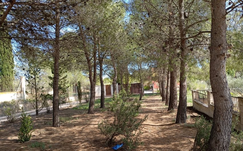 Reventa - Villa -
Yecla - Inland
