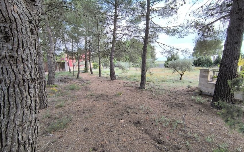 Reventa - Villa -
Yecla - Inland