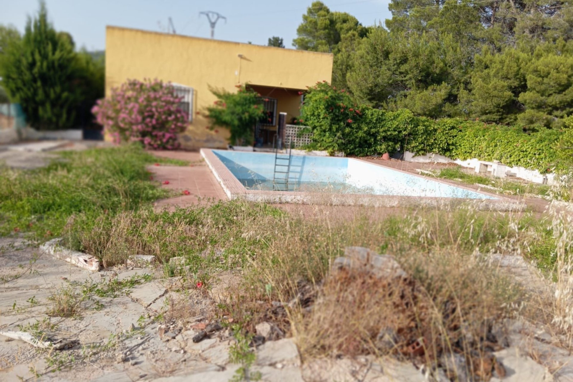 Reventa - Villa -
Yecla - Inland