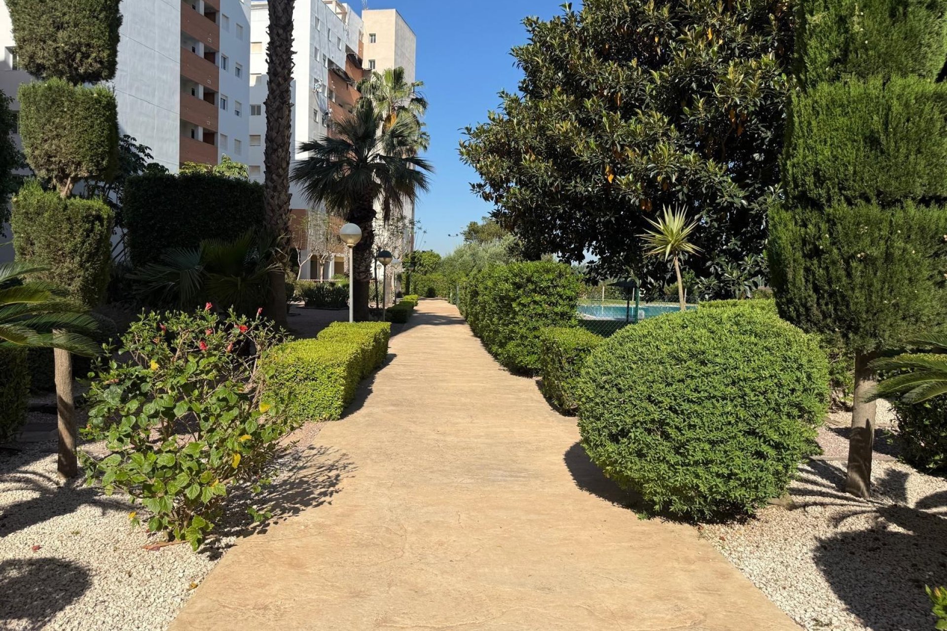 Revente - Apartamento -
Guardamar del Segura - Avenida del Puerto