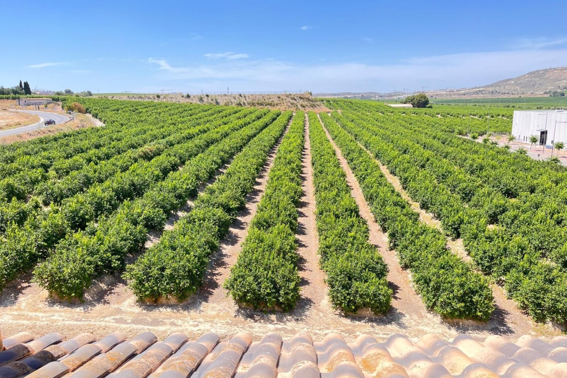 Revente - Apartment -
Algorfa - Inland
