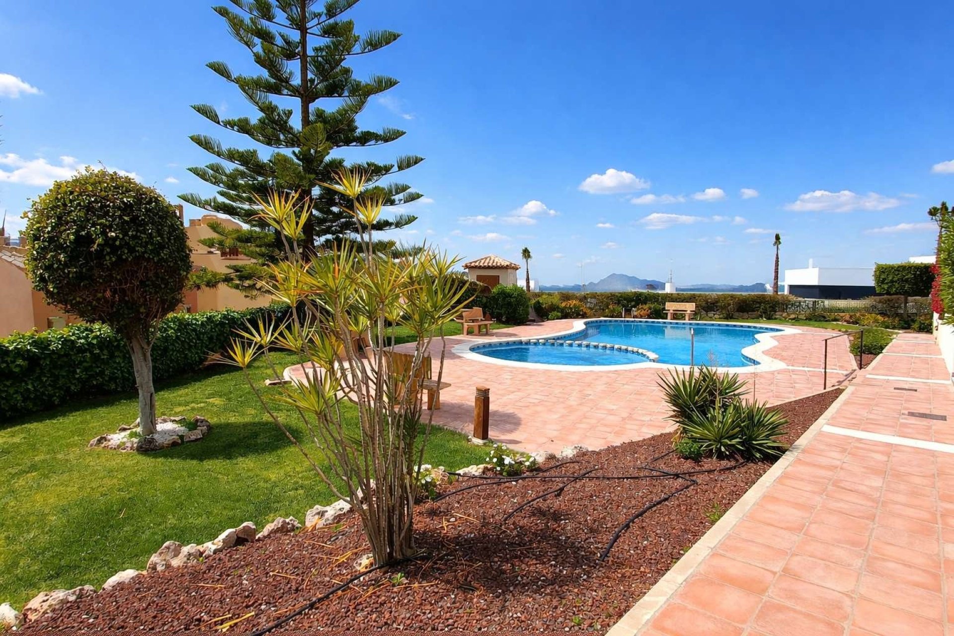 Revente - Apartment -
Algorfa - Inland
