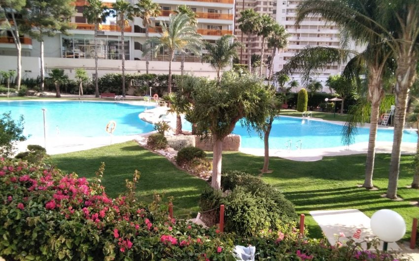 Revente - Apartment -
Benidorm - Rincón de Loix