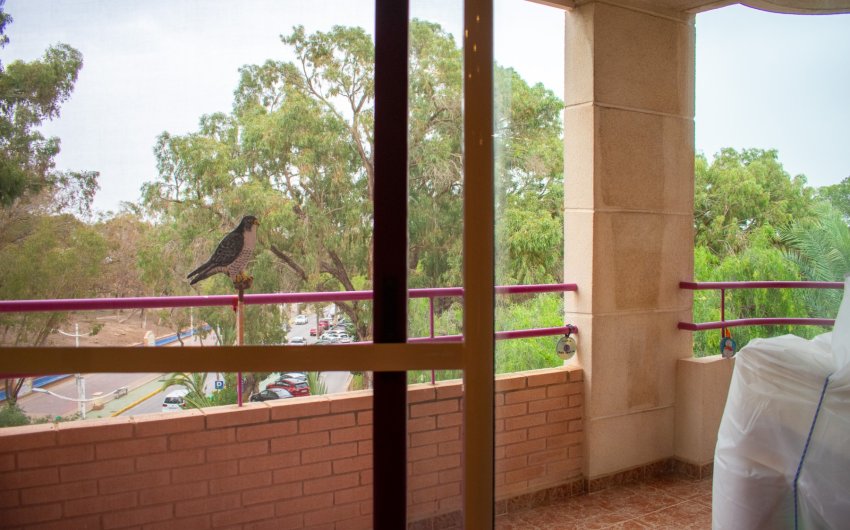 Revente - Apartment -
Guardamar del Segura - Center