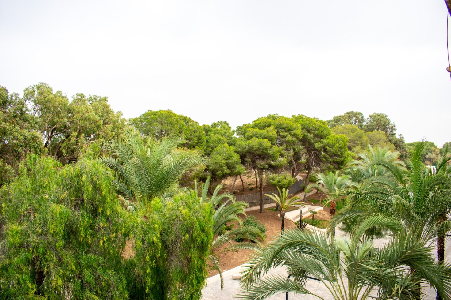 Revente - Apartment -
Guardamar del Segura - Center