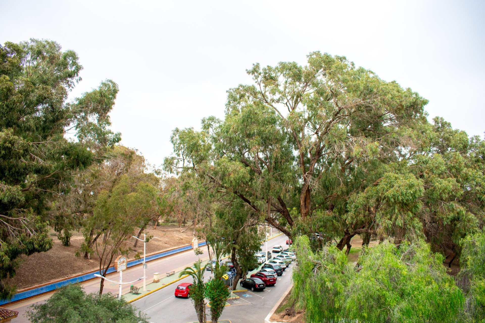 Revente - Apartment -
Guardamar del Segura - Center