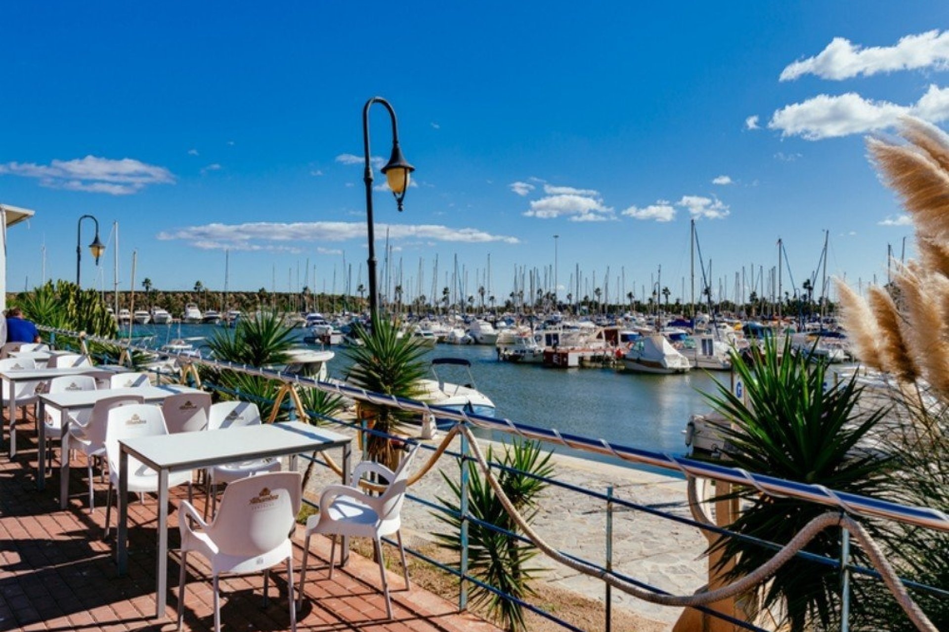 Revente - Apartment -
Guardamar del Segura - Costa Blanca