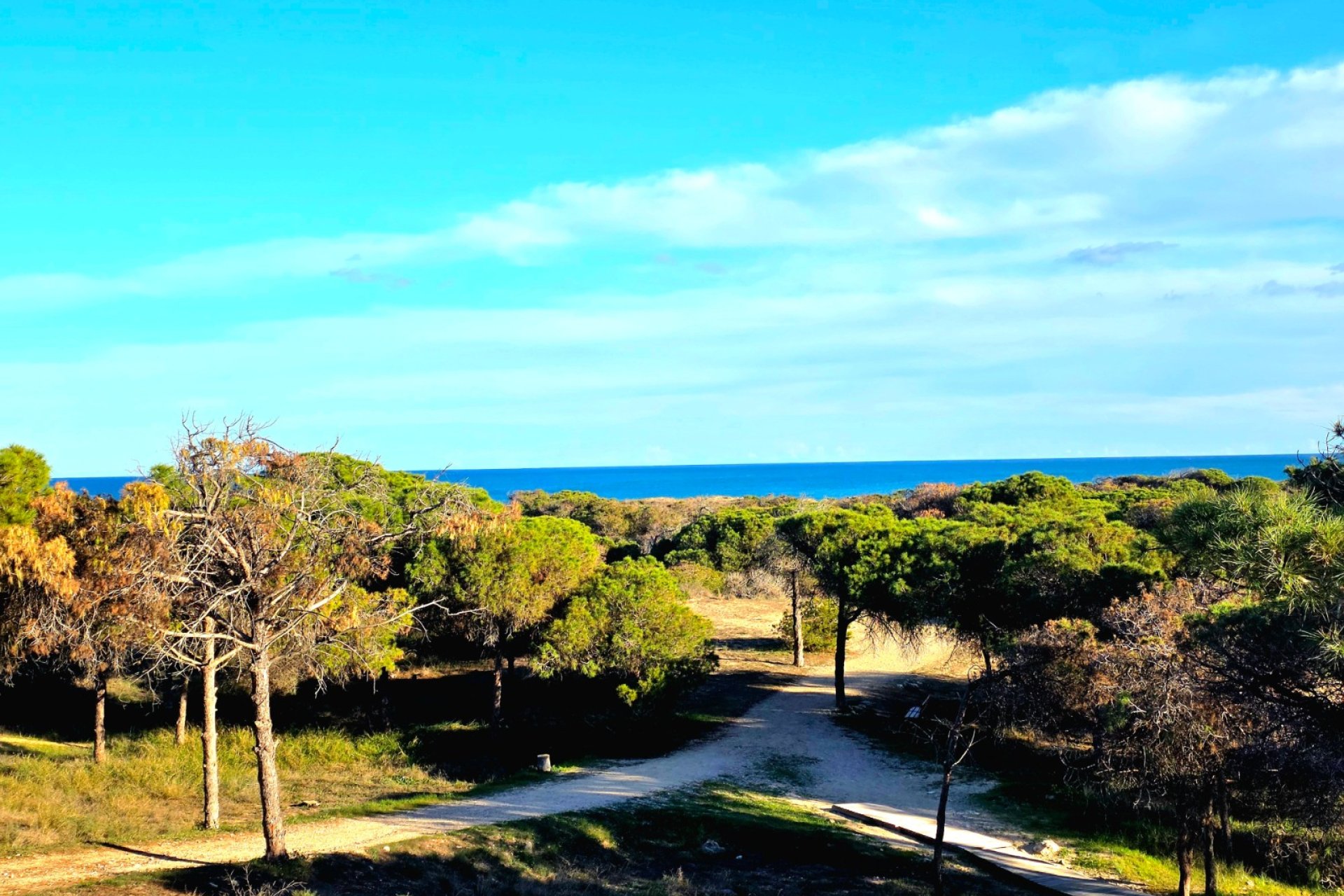 Revente - Apartment -
Guardamar del Segura - Pinomar