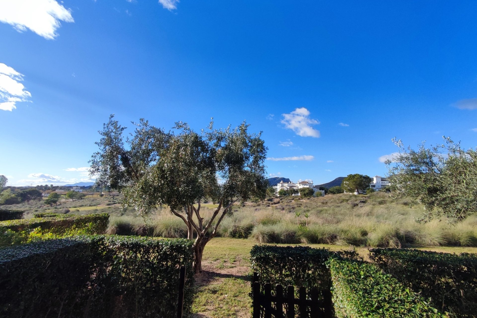 Revente - Apartment -
Hacienda Riquelme Golf Resort