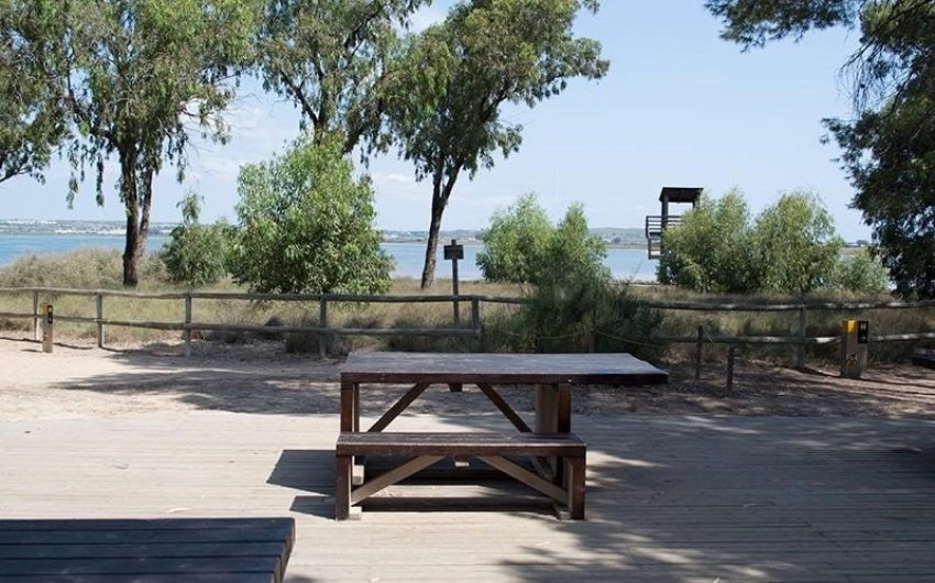 Revente - Apartment -
La Mata - La Mata - Town