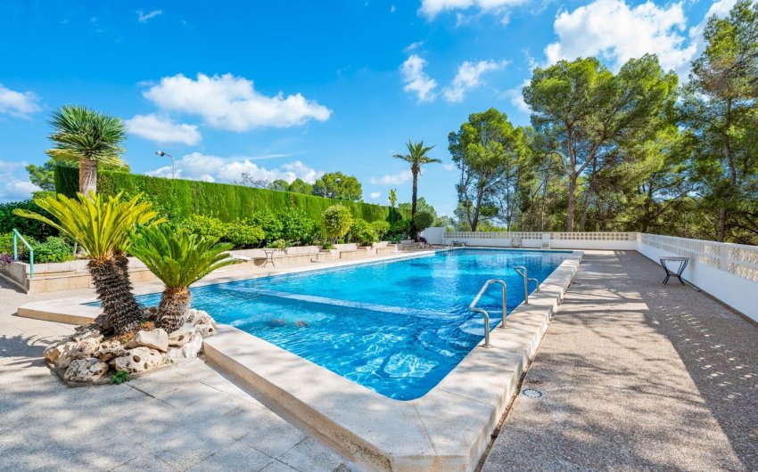 Revente - Apartment -
La Nucía