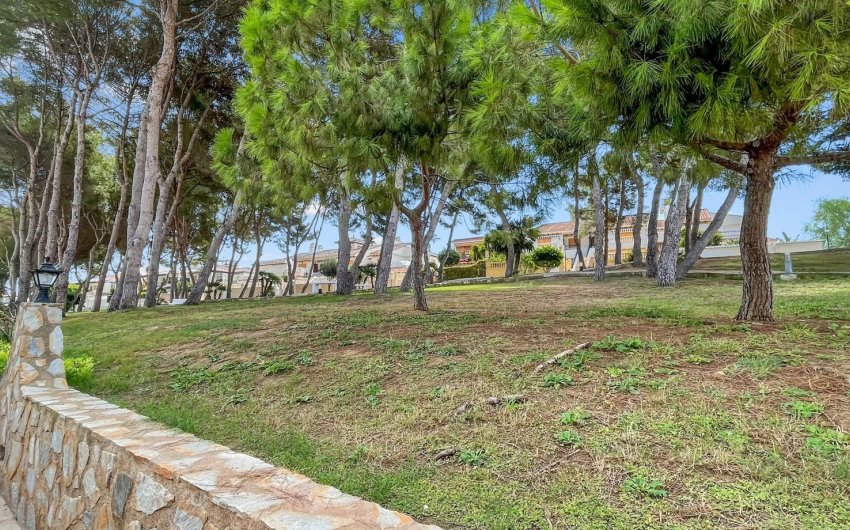 Revente - Apartment -
Mil Palmeras - Costa Blanca