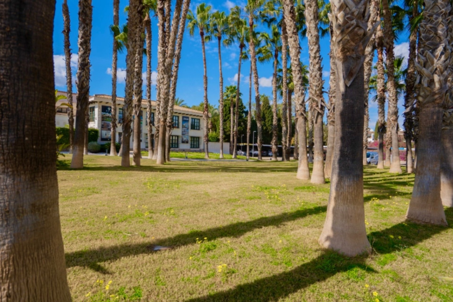 Revente - Apartment -
Orihuela - Costa Blanca