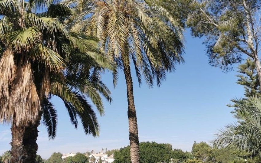 Revente - Apartment -
Orihuela Costa - Costa Blanca