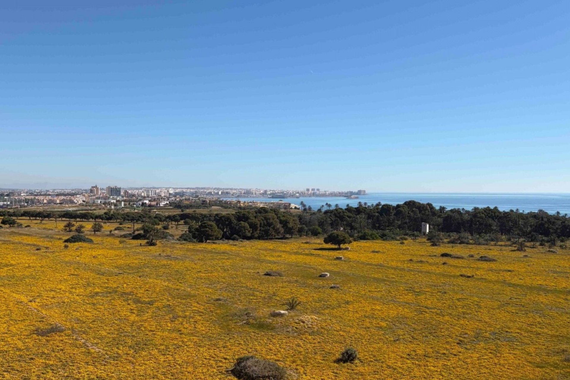 Revente - Apartment -
Orihuela Costa - Costa Blanca