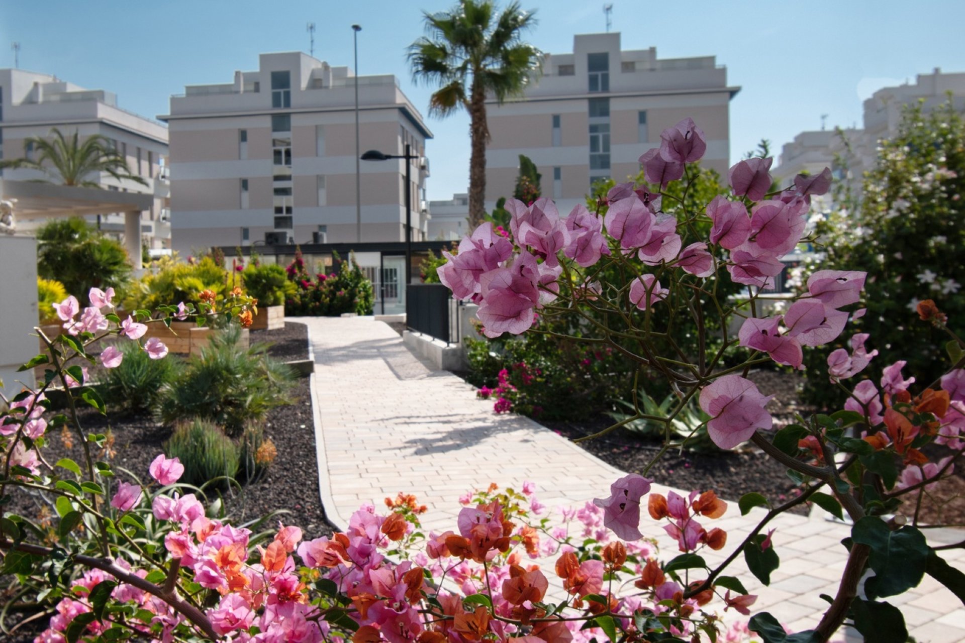 Revente - Apartment -
Orihuela Costa - Los Dolses