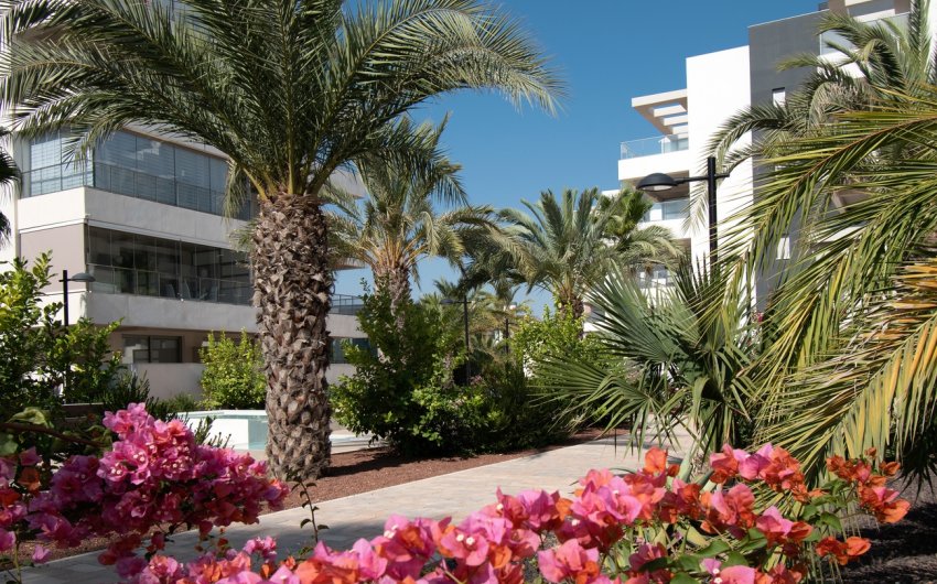 Revente - Apartment -
Orihuela Costa - Los Dolses