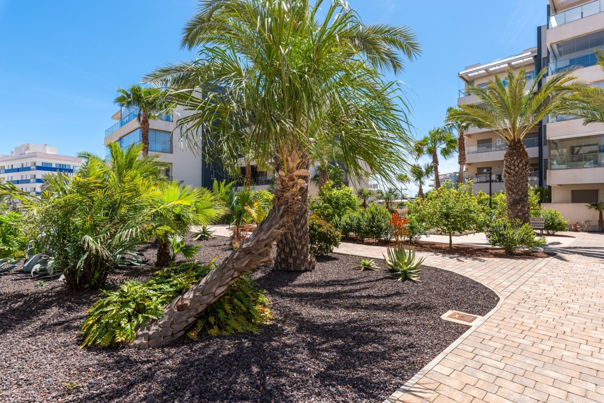 Revente - Apartment -
Orihuela Costa - Los Dolses