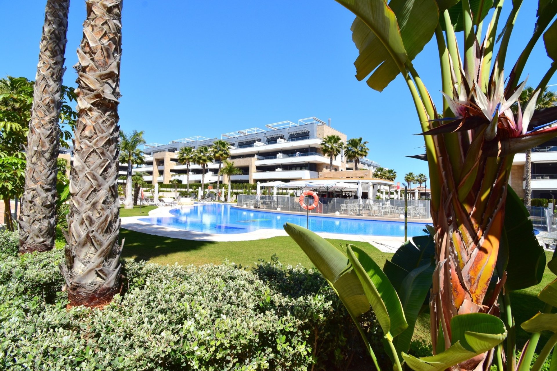 Revente - Apartment -
Orihuela Costa - Playa Flamenca