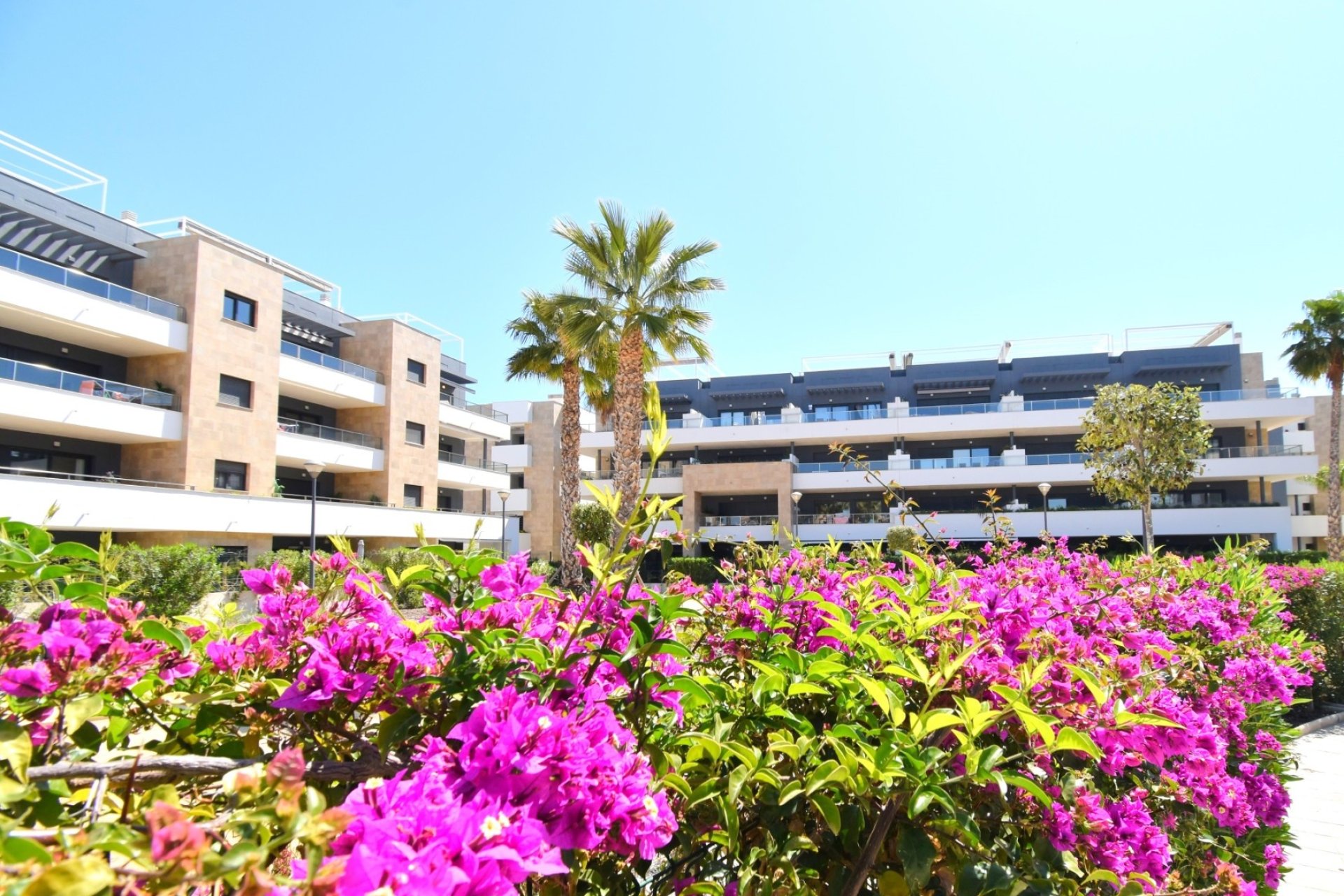 Revente - Apartment -
Orihuela Costa - Playa Flamenca