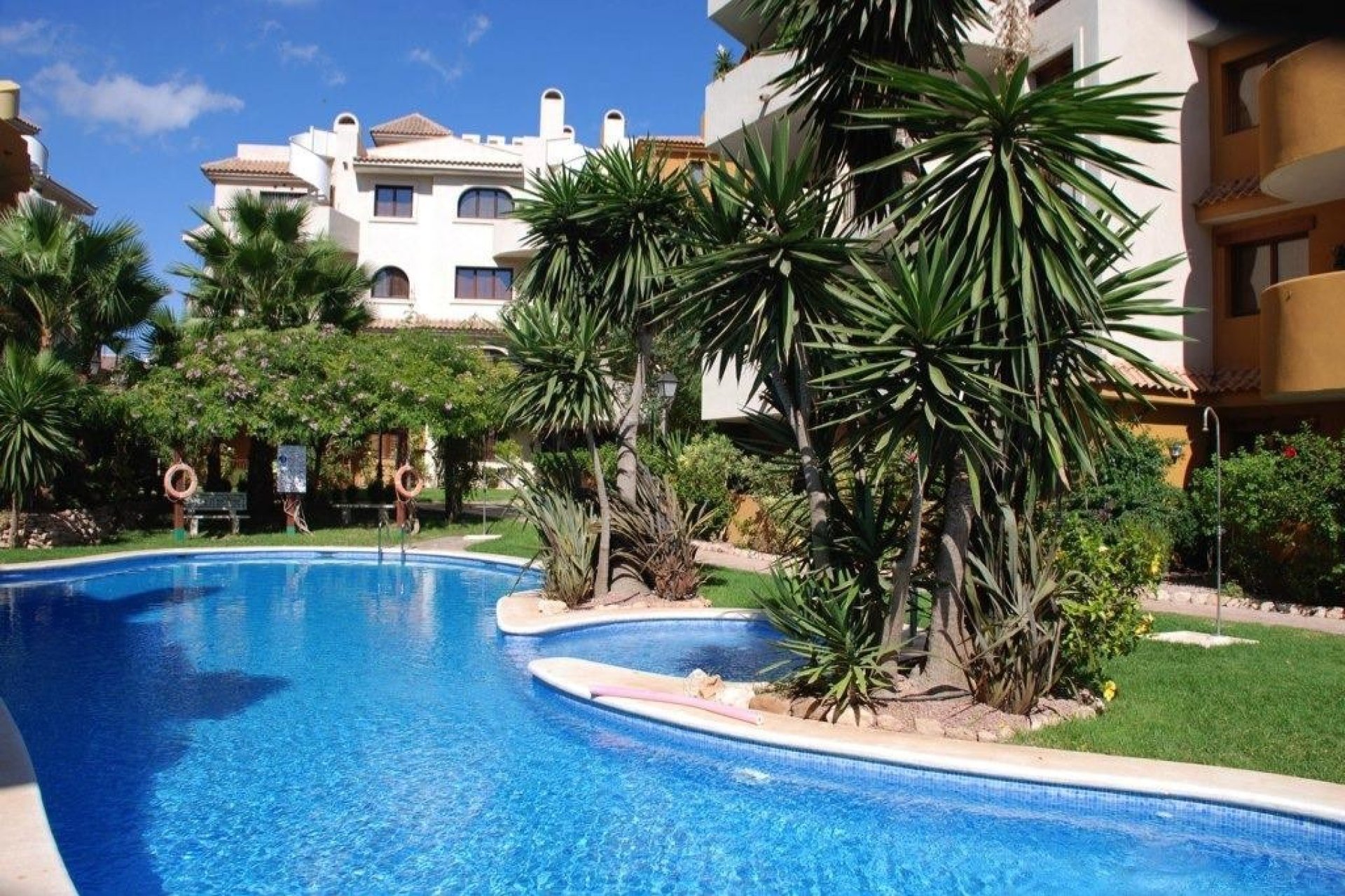 Revente - Apartment -
Punta Prima