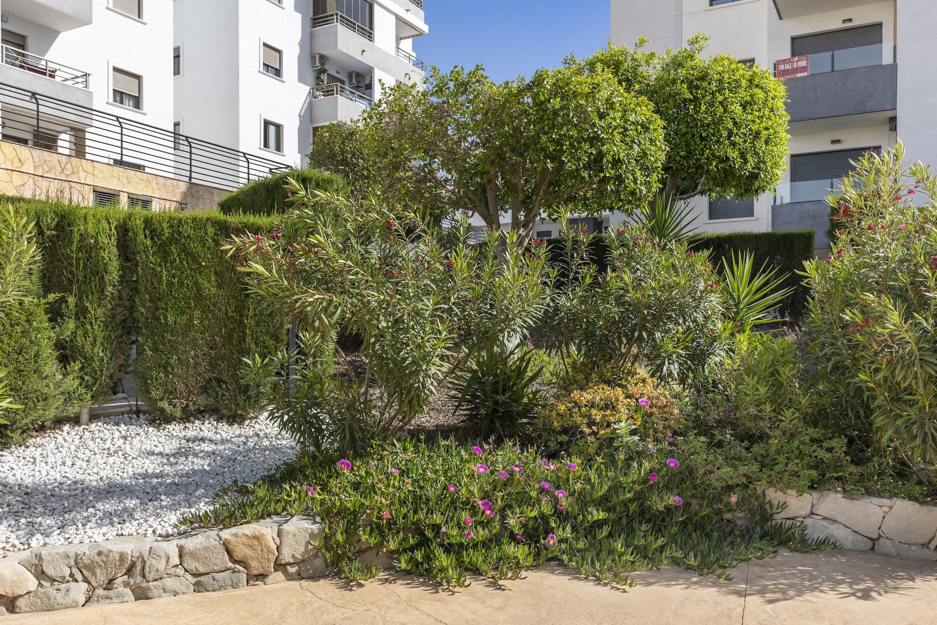 Revente - Apartment -
San Miguel de Salinas - Inland