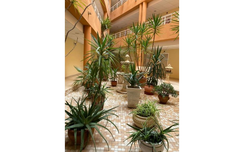 Revente - Apartment -
San Miguel de Salinas - Pueblo 9