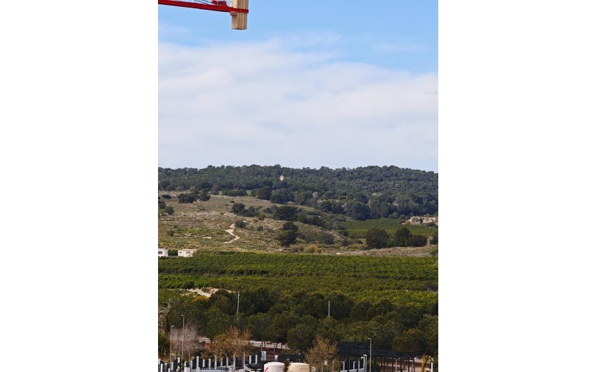 Revente - Apartment -
San Miguel de Salinas - Pueblo 9