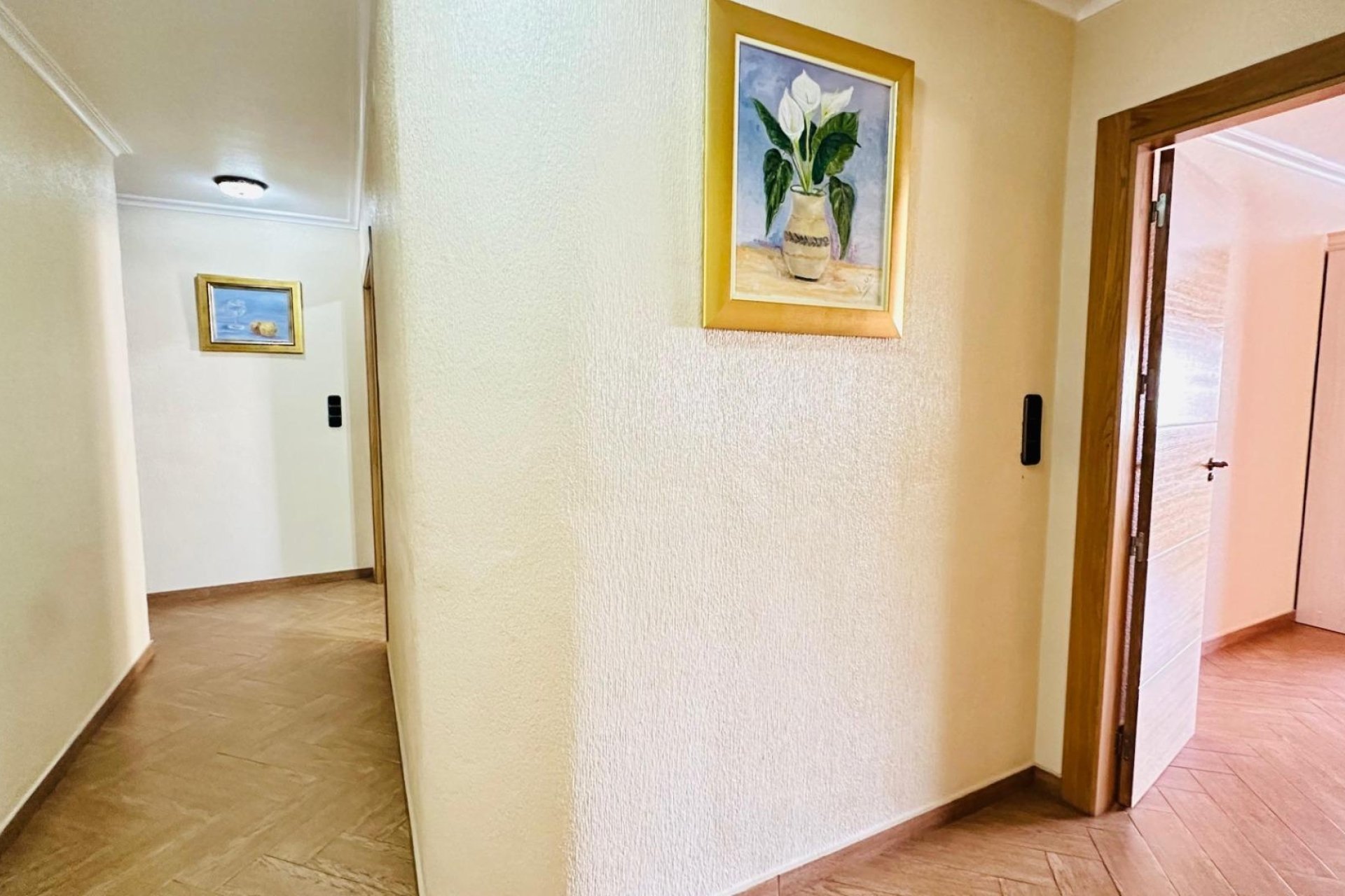 Revente - Apartment -
Torrevieja - Centro