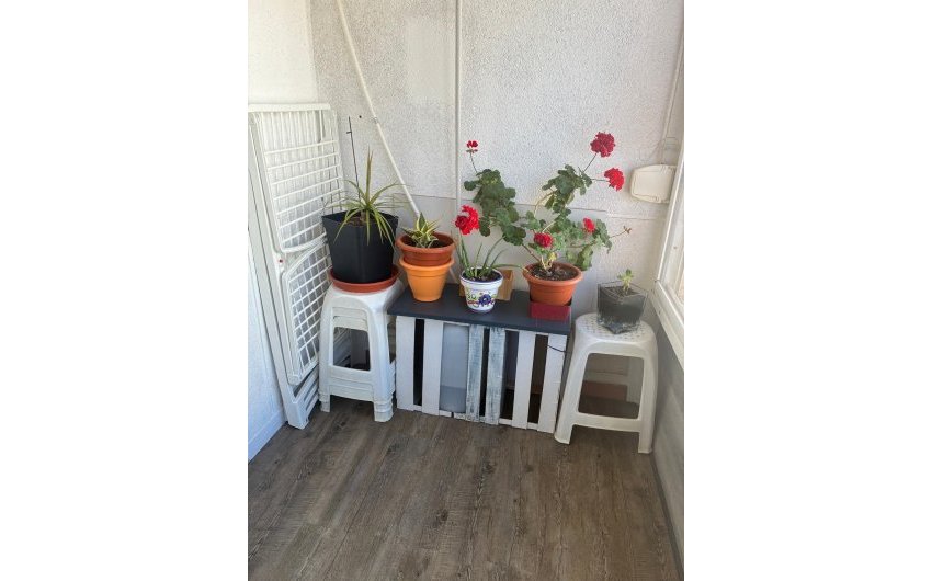 Revente - Apartment -
Torrevieja - Centro