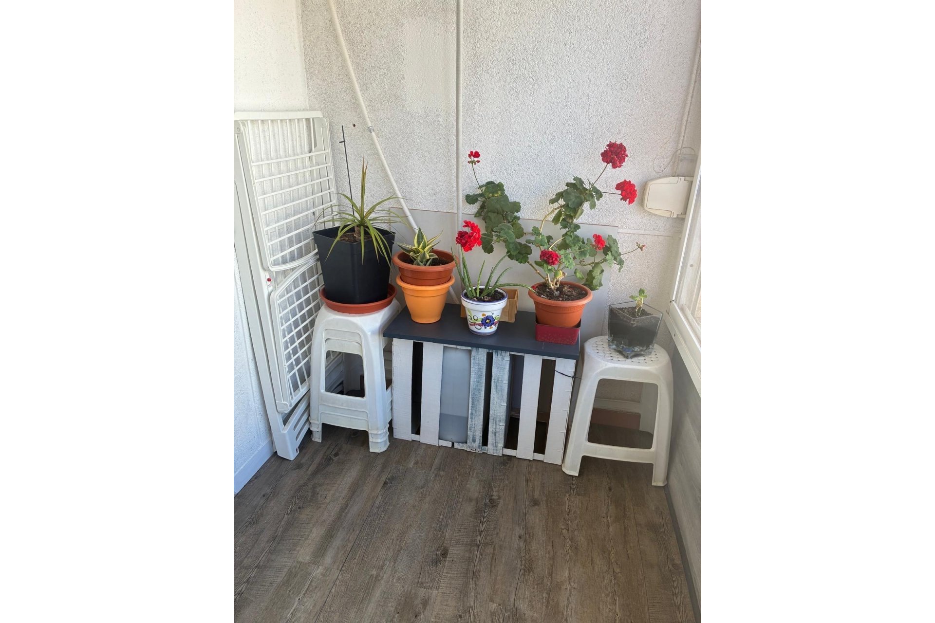 Revente - Apartment -
Torrevieja - Centro