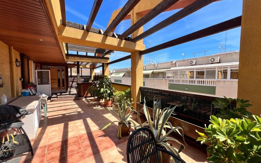 Revente - Apartment -
Torrevieja - Centro