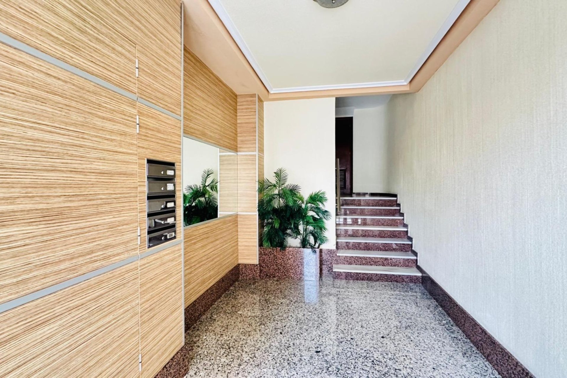 Revente - Apartment -
Torrevieja - Centro